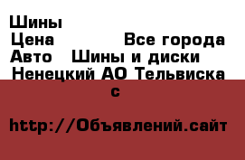 Шины bridgestone potenza s 2 › Цена ­ 3 000 - Все города Авто » Шины и диски   . Ненецкий АО,Тельвиска с.